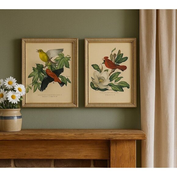 Vintage 1954 Roger Tory Peterson Bird Prints Cardinal & Scarlet Tanager Chippy W - Picture 1 of 10